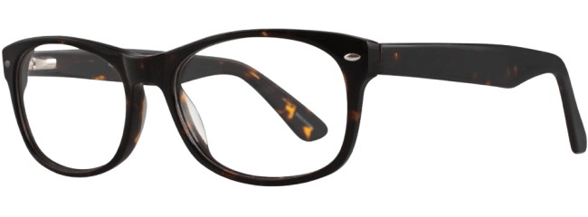 Eight To Eighty Donald