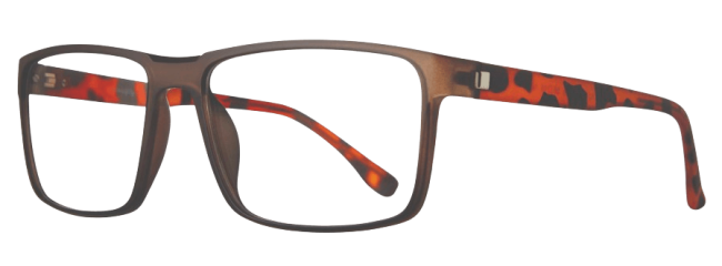 Eight To Eighty Enzo