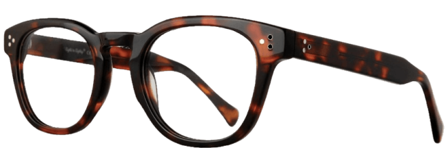 Eight To Eighty Ezra