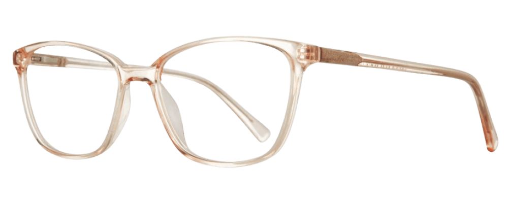 Eight To Eighty Magnolia