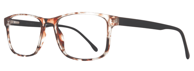 Eight To Eighty Otto