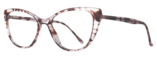 Eight To Eighty Saylor