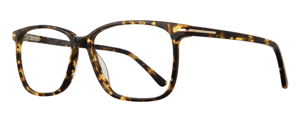 Serafina Silas Eyeglasses