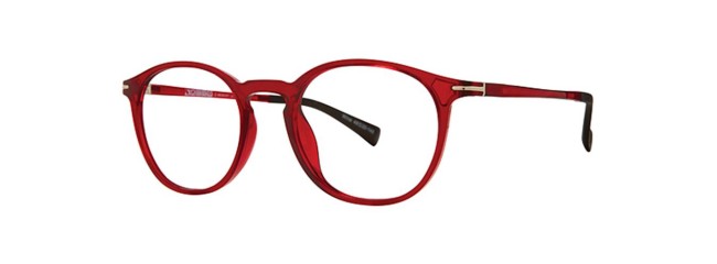 Vivid 2029 Eyeglasses
