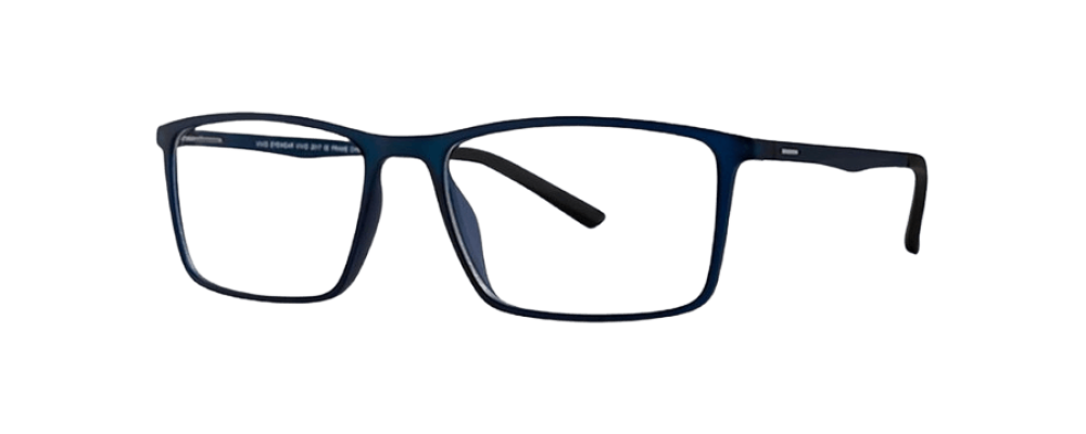 Vivid 2017 Eyeglasses