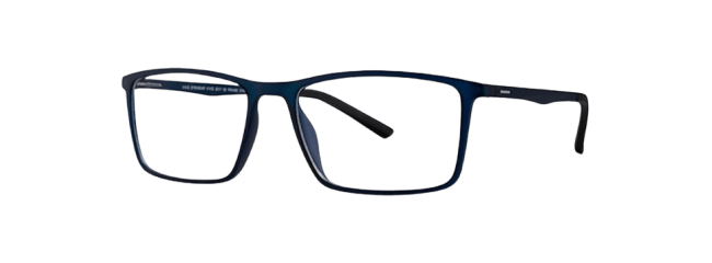 Vivid 2017 Eyeglasses