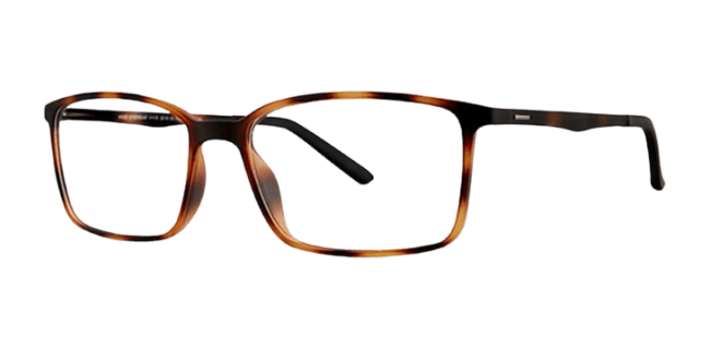 Vivid 2019 Eyeglasses 