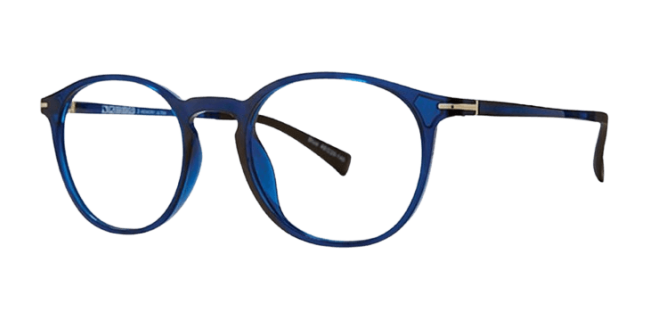 Vivid 2029 Eyeglasses