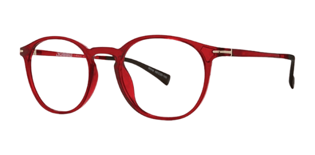 Vivid 2029 Eyeglasses