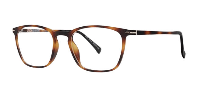 Vivid 2031 Eyeglasses