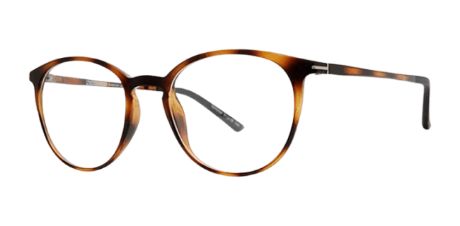 Vivid 2034 Eyeglasses