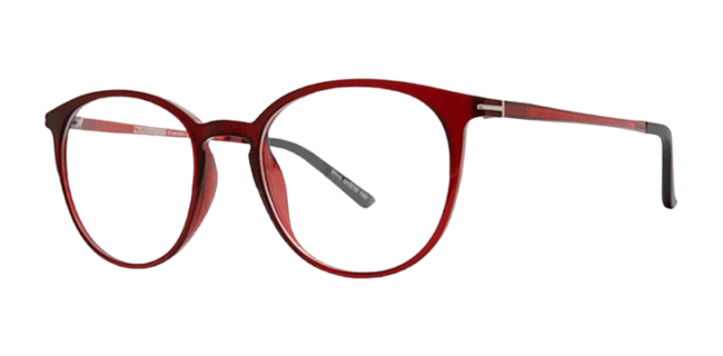 Vivid 2034 Eyeglasses