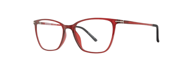 Vivid 2035 Eyeglasses