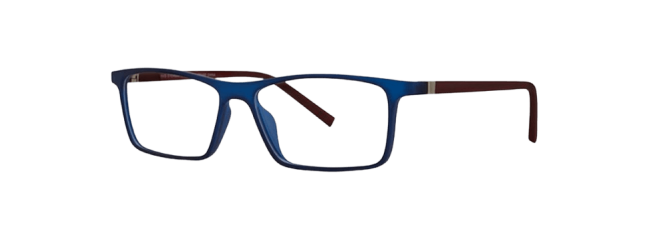Vivid 253 Eyeglasses 