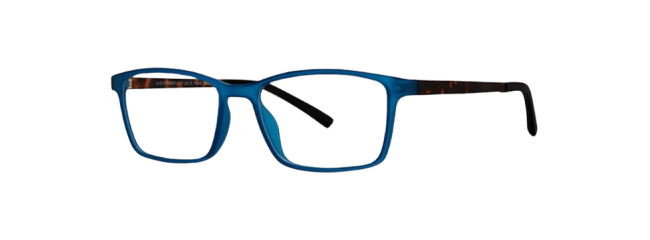 Vivid 255 Eyeglasses 