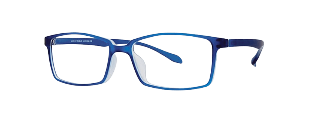 Vivid 264 Eyeglasses