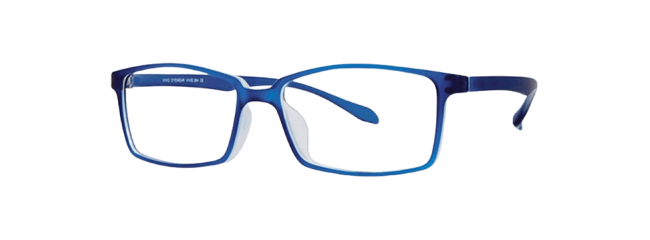 Vivid 264 Eyeglasses