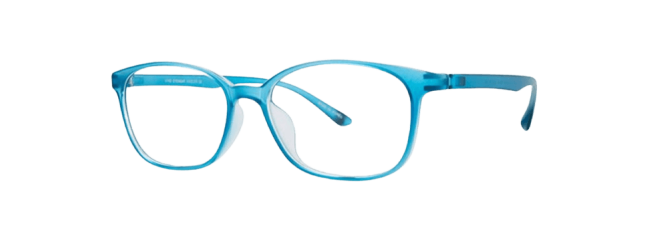 Vivid 270 Eyeglasses