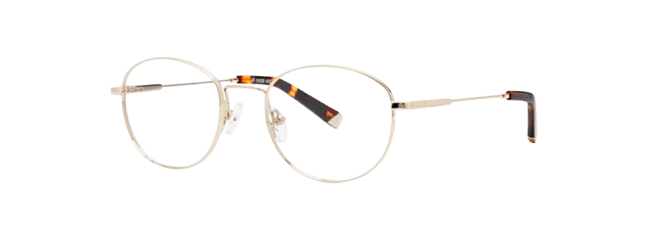 Vivid 403 Eyeglasses