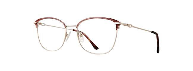 Vivid 409 Eyeglasses