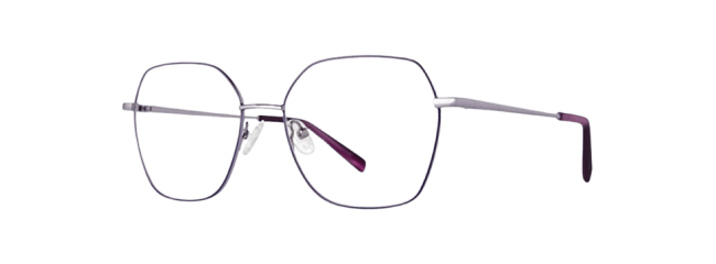 Vivid 411 Eyeglasses