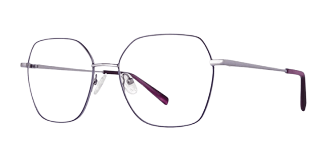 Vivid 411 Eyeglasses