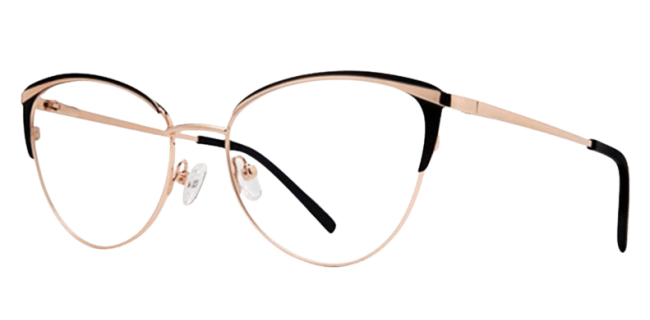Vivid 420 Eyeglasses 