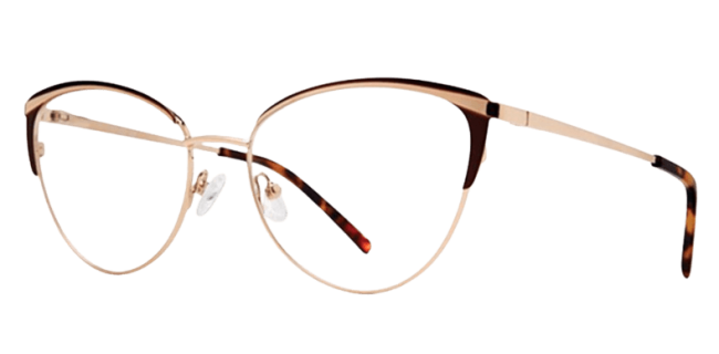 Vivid 420 Eyeglasses 