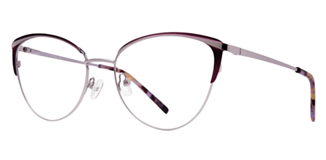 Vivid 420 Eyeglasses 
