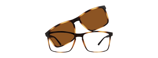 Vivid 6012 Eyeglasses