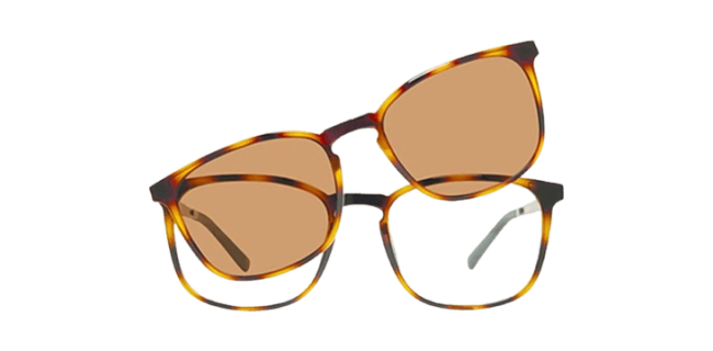 Vivid 6024 Eyeglasses
