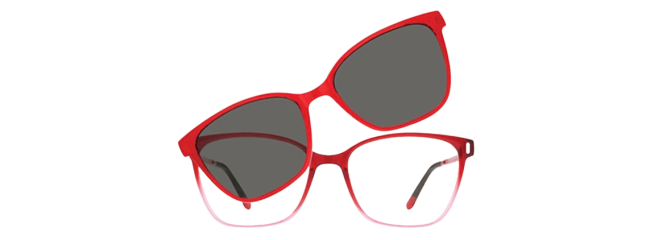 Vivid 6037 Eyeglasses 