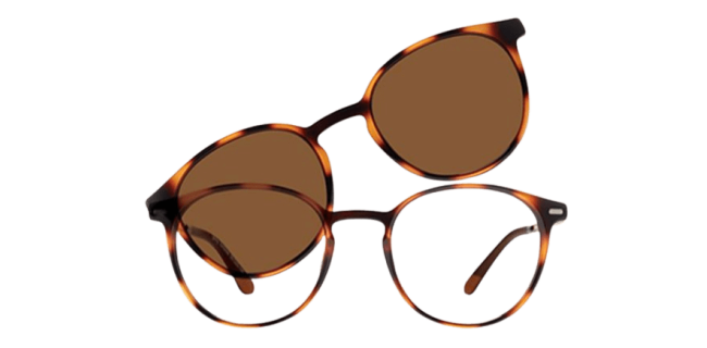 Vivid 6039 Eyeglasses 