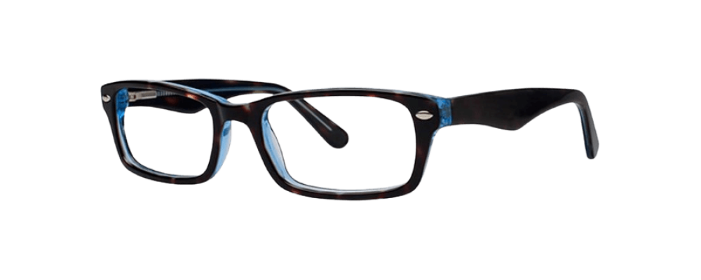 Vivid 800 Eyeglasses