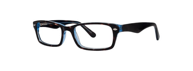 Vivid 800 Eyeglasses