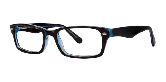 Vivid 800 Eyeglasses