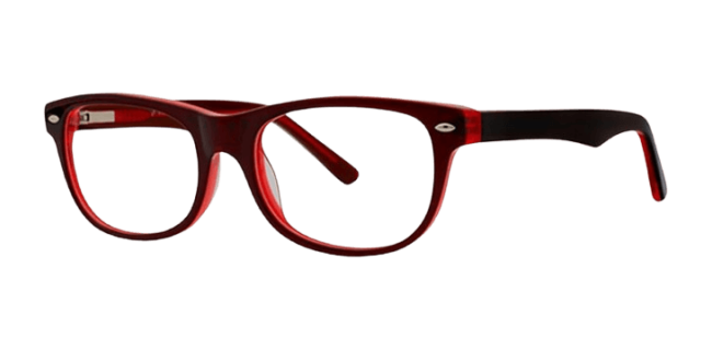 Vivid 873 Eyeglasses