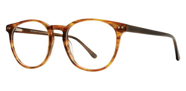Vivid 947 Eyeglasses 