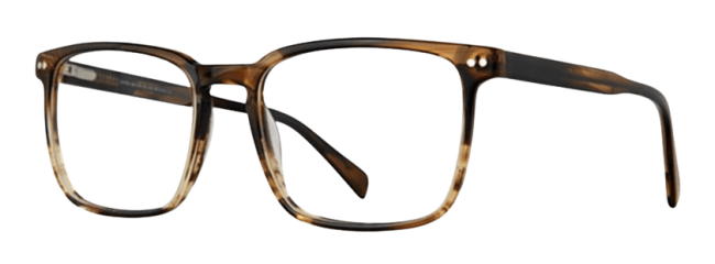 Vivid 951 Eyeglasses 