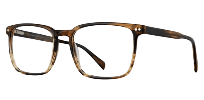 Vivid 951 Eyeglasses 