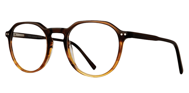 Vivid 952 Eyeglasses 