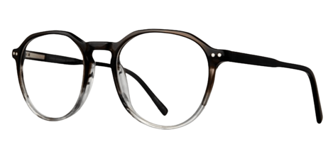 Vivid 952 Eyeglasses 