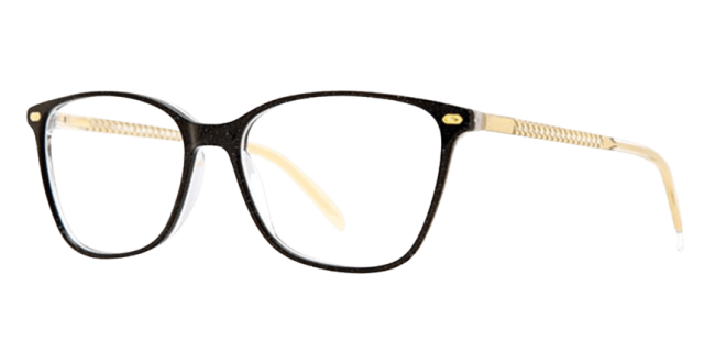 Vivid 962 Eyeglasses 