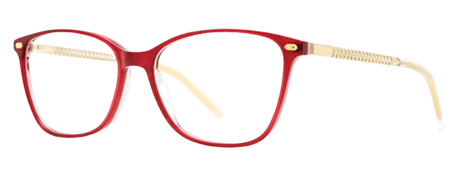 Vivid 962 Eyeglasses 