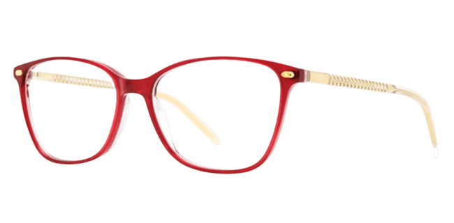 Vivid 962 Eyeglasses 