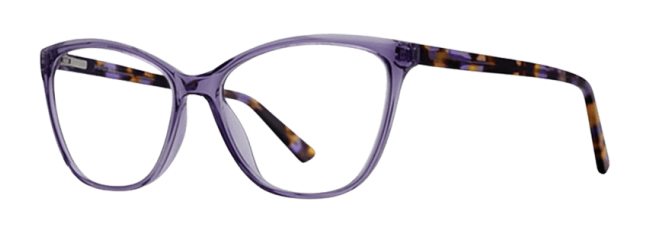 Vivid 965 Eyeglasses 