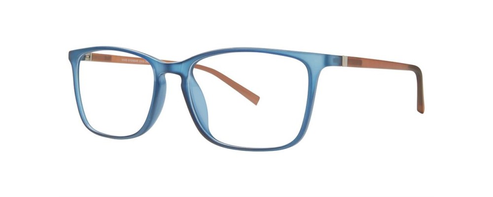 Vivid 246 Eyeglasses 