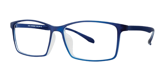 Vivid 256 Eyeglasses 